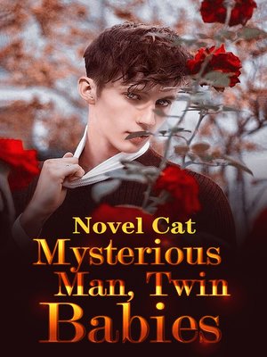cover image of Mysterious Man, Twin Babies Book 1